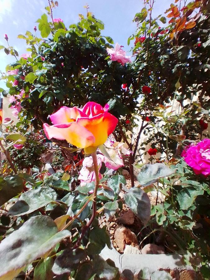 Las/Rosas Orgaz Exterior photo